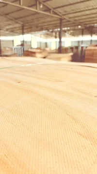 1.7mm grade A eucalyptus core veneer (High quality )