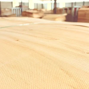 1 (1) 1.7mm grade A eucalyptus core veneer (High quality )