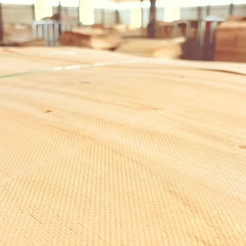 1.7mm grade A eucalyptus core veneer (High quality )