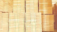1.7mm grade A eucalyptus core veneer (High quality )