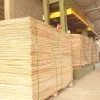 1.7mm grade A eucalyptus core veneer (High quality )