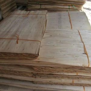 Rubberwood Core Veneer