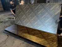 Film face (shuttering plywood)