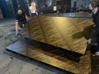 Film face (shuttering plywood)