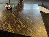 Film face (shuttering plywood)