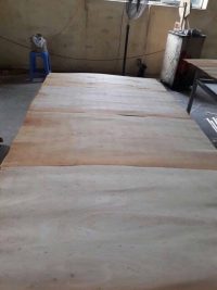 1.7mm grade C eucalyptus core veneer (High Quality)