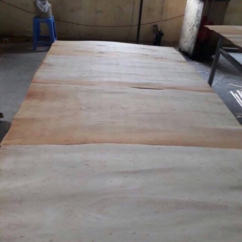 1.7mm grade C eucalyptus core veneer (High Quality)