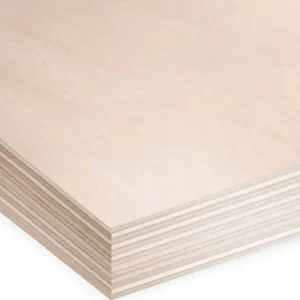 Russian birch