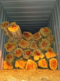 SYP 8 inch,10 inch,12 inch