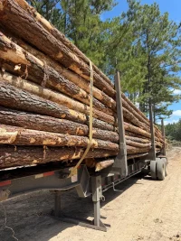 SYP 8 inch,10 inch,12 inch